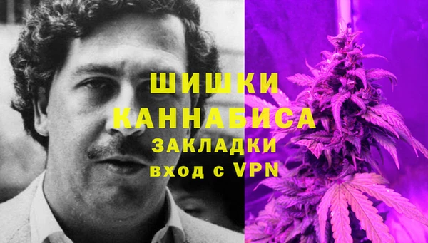 дурь Верея