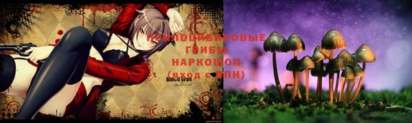 дурь Верея
